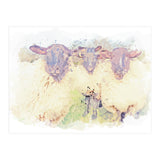 Inquisitive Nature (Print Only) thumbnail