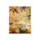 A Life Wild (Print Only) thumbnail