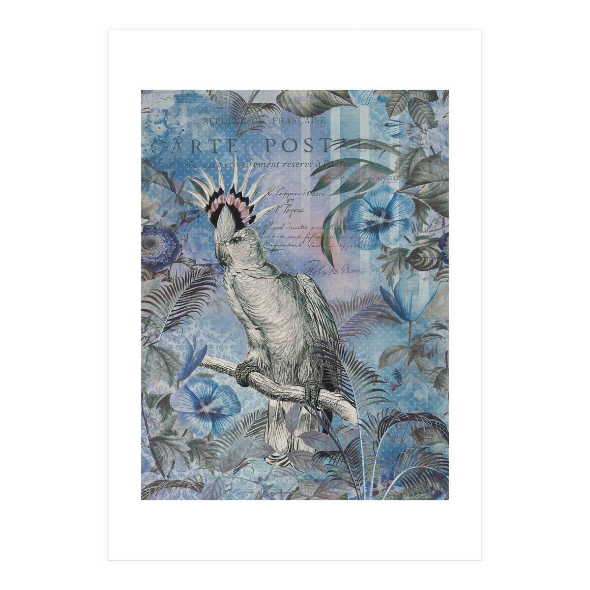 Jungle Cockatoo Blue (Print Only)