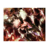 Anatomy (Print Only) thumbnail