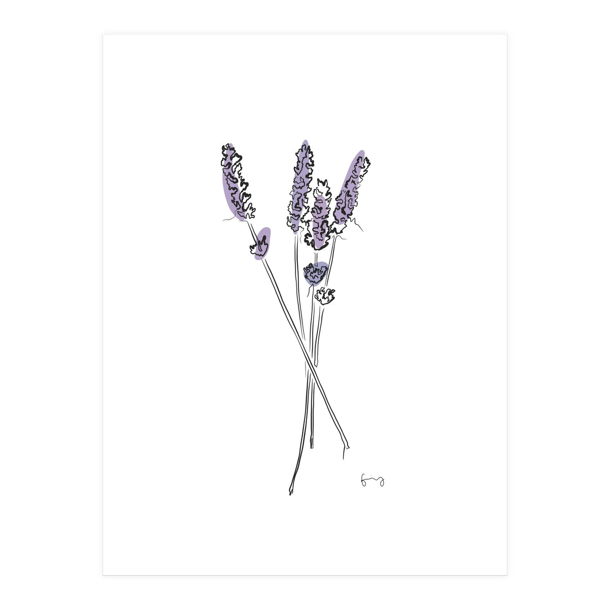 Lavender (Print Only)