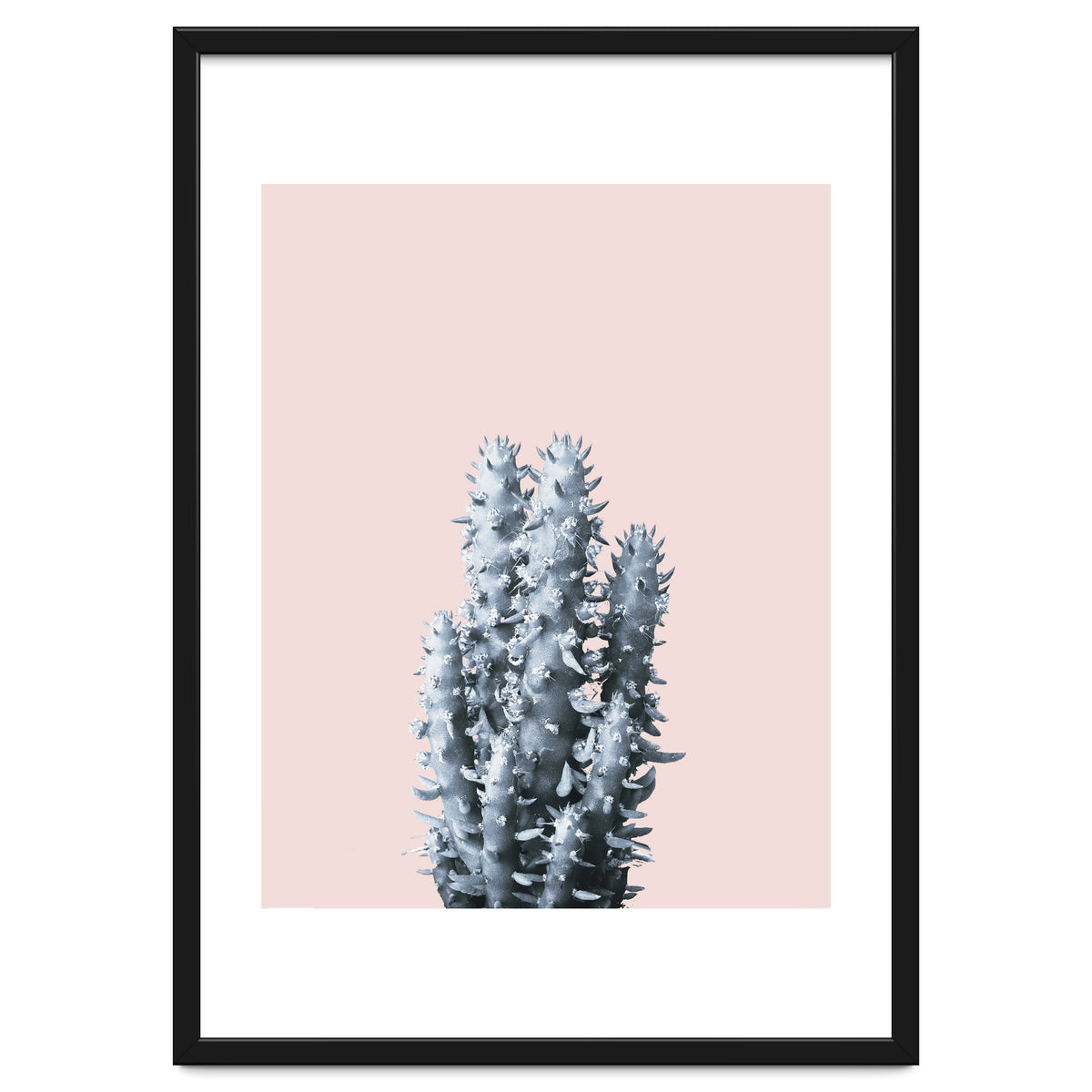 Cactus collection BL-III