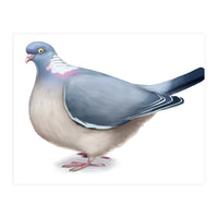 Wood Pigeon (Print Only)