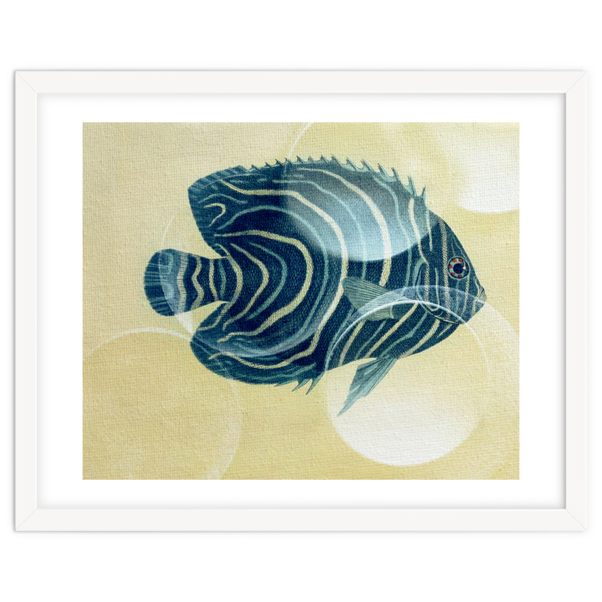 Fish Between Circles