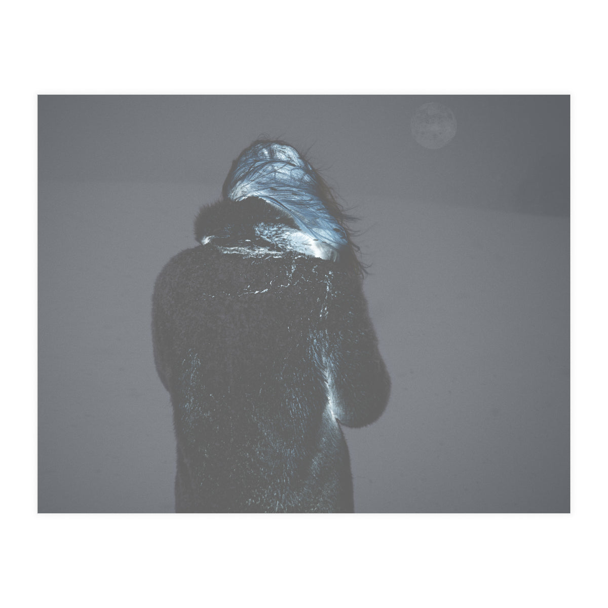 Metamorphosis (Print Only)