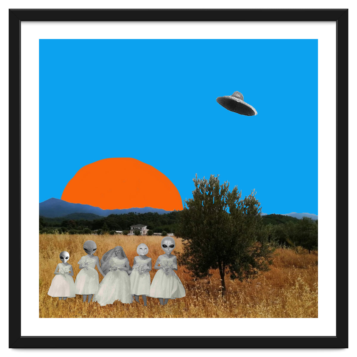 The Wedding Day - Collage