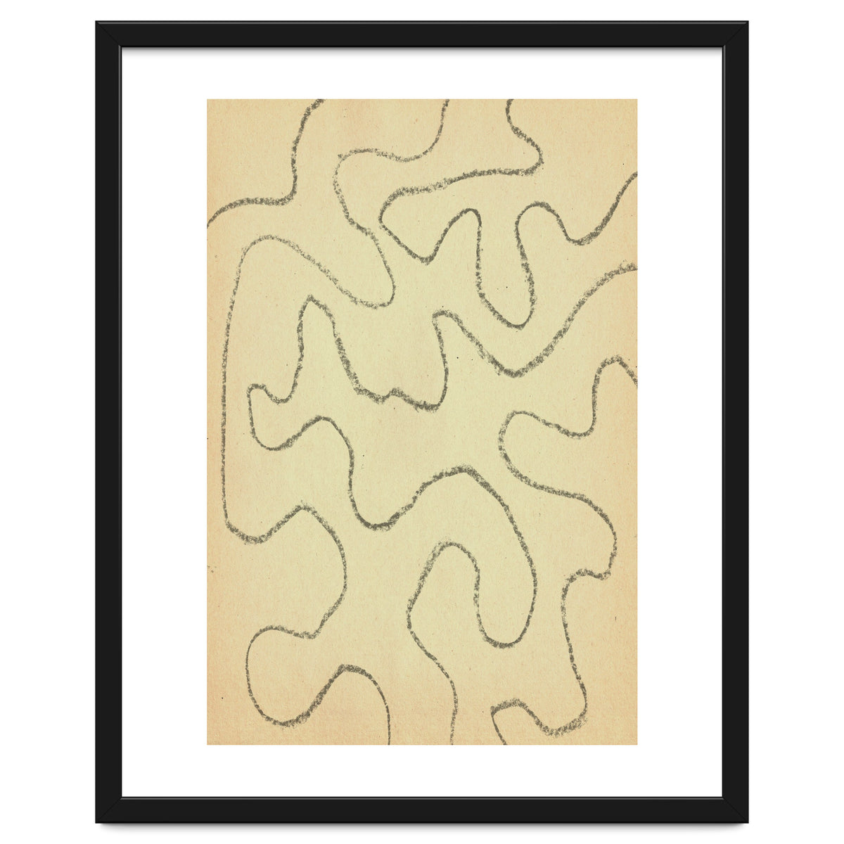 Abstract organic lines