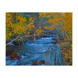 Nature (Print Only) thumbnail