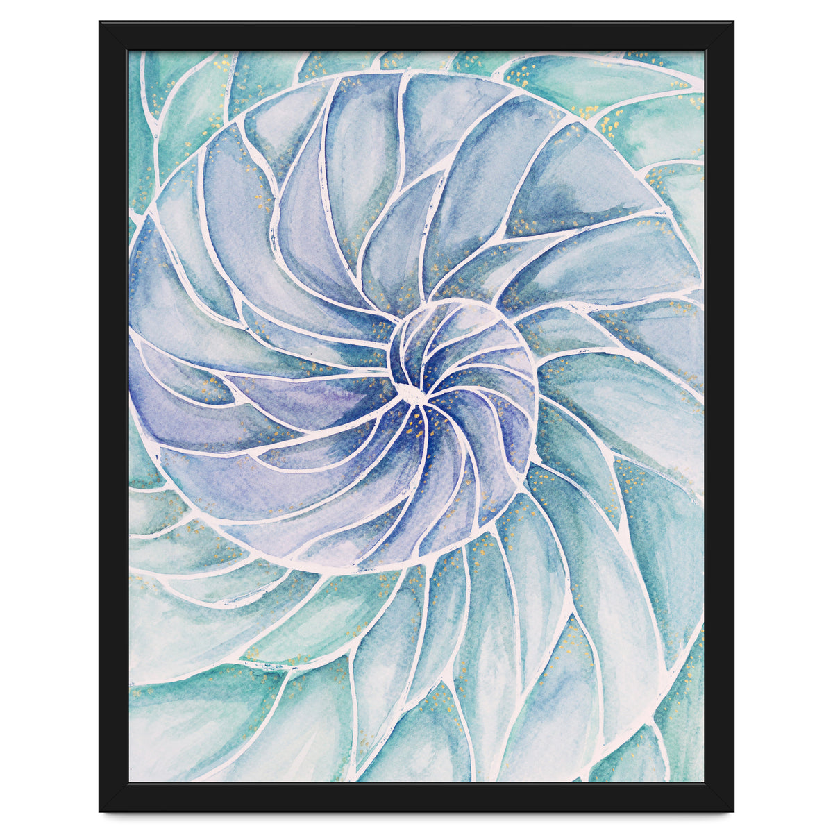 The inside of a shell