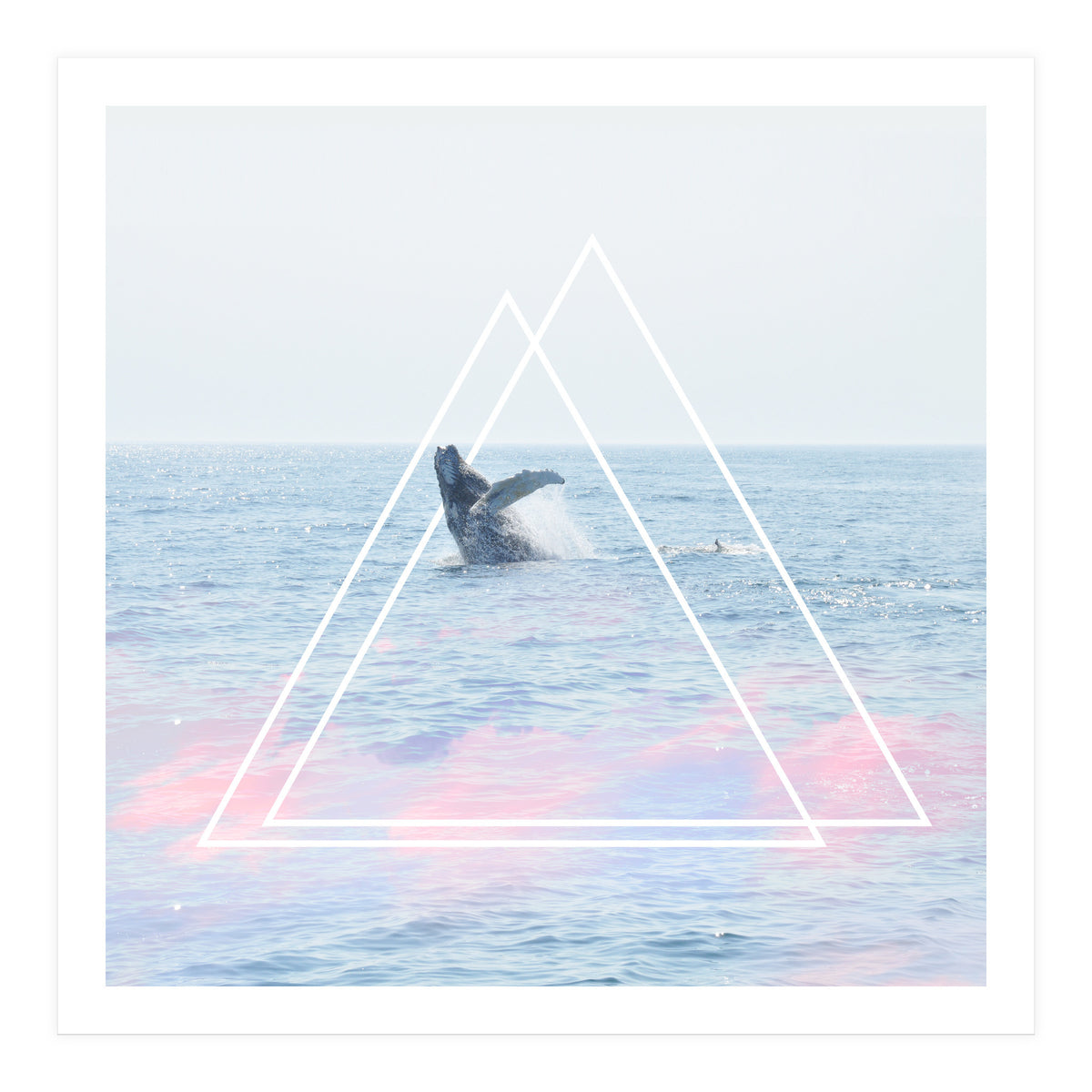 Whale of a Time (Print Only)