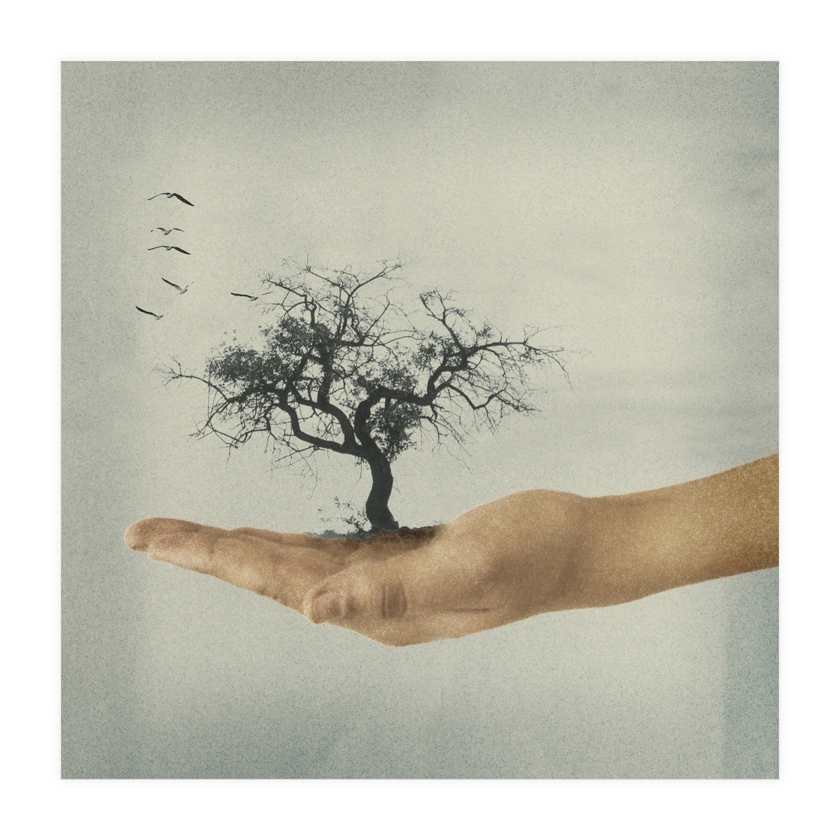 Its All In Your Mind (Print Only)