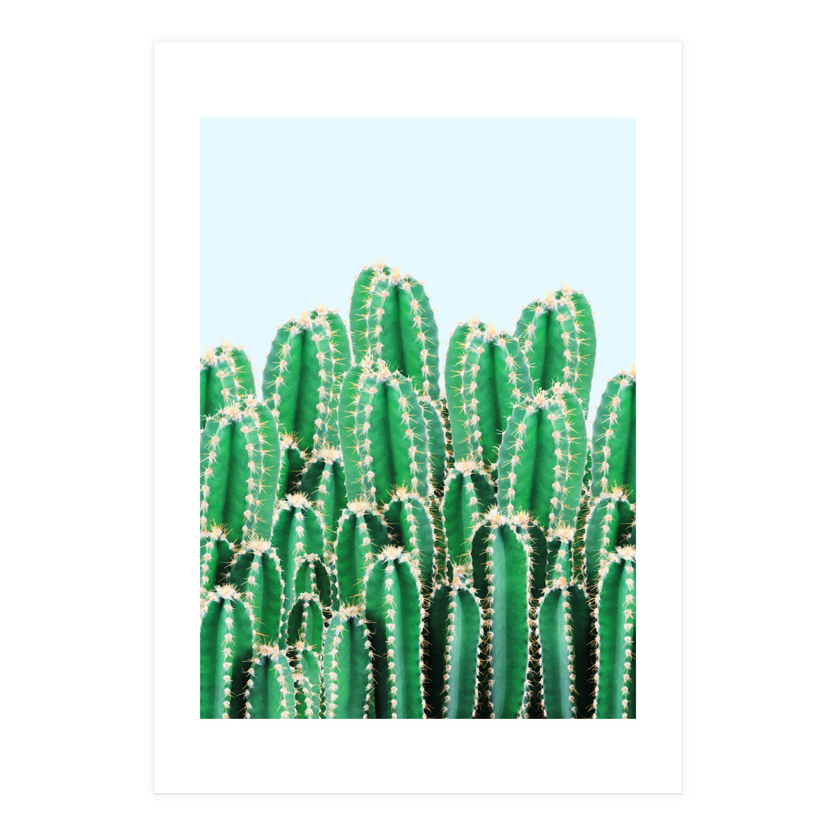 Kaktos II (Print Only)