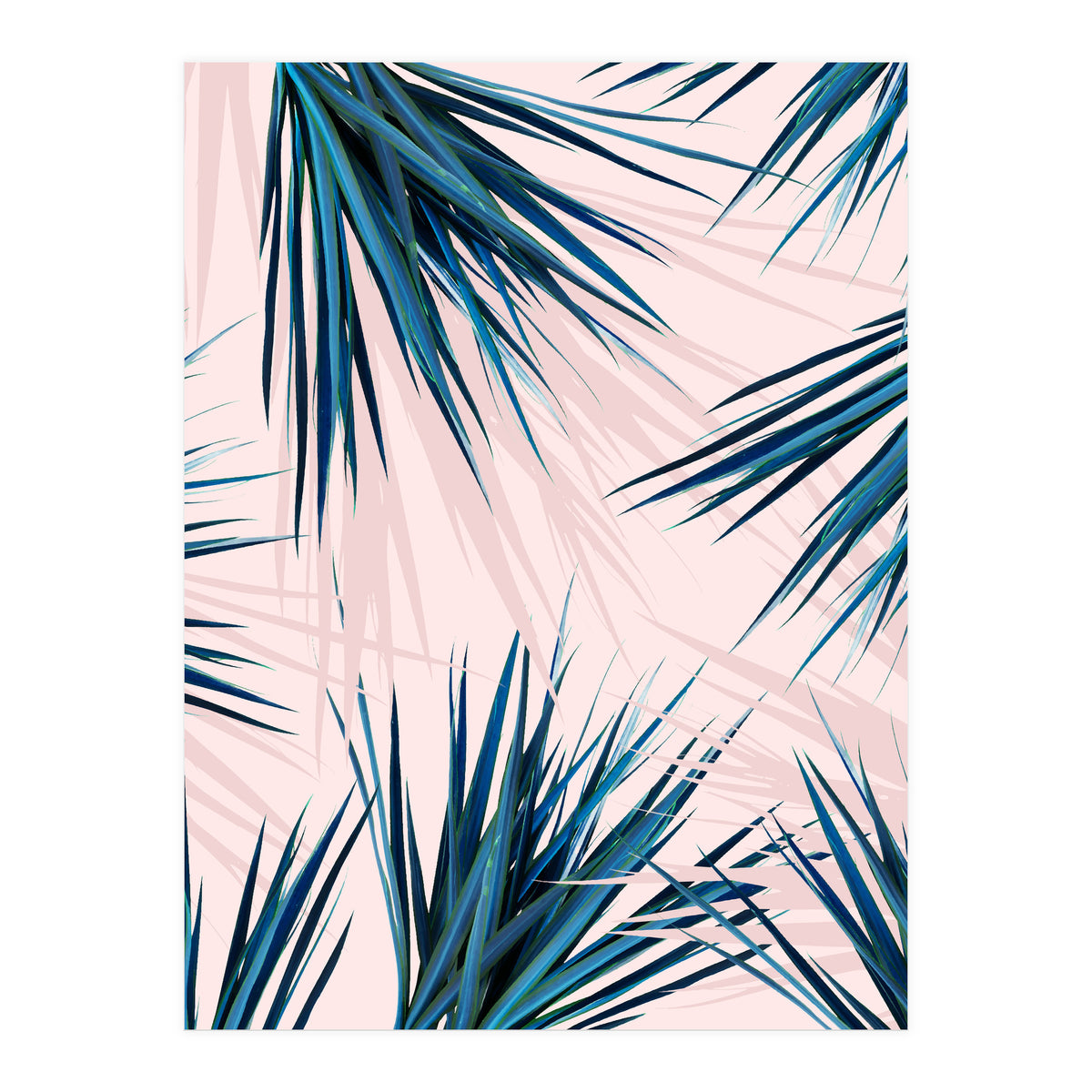 Pointy Palm (Print Only)