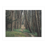 The Wood Line II (Print Only) thumbnail