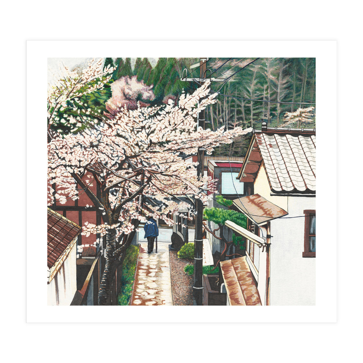 Passing by Cherry Blossoms (Print Only)