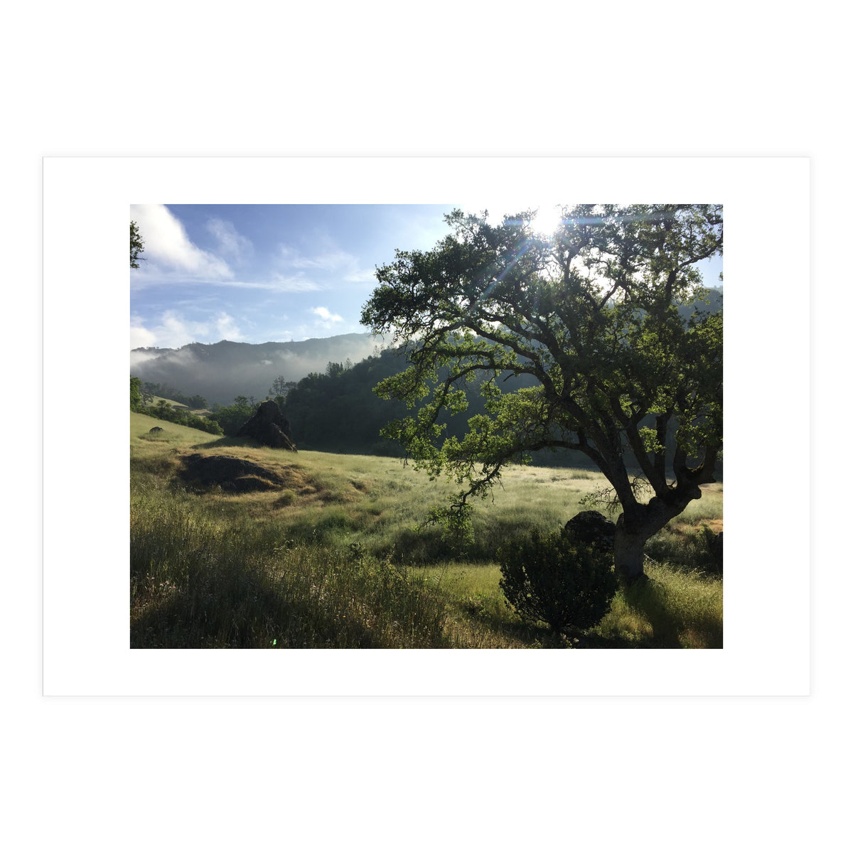 Henry Coe I (Print Only)