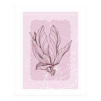 Magnolia Botanical Mid Century - Abstract Geometrical (Print Only)