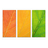 Autumn Leaves (Print Only) thumbnail