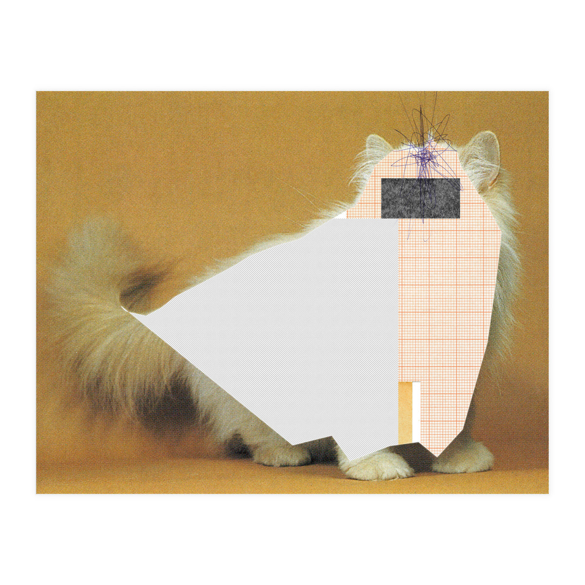 Content Of The Cat 1 (Print Only)