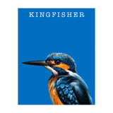 Kingfisher (Print Only) thumbnail