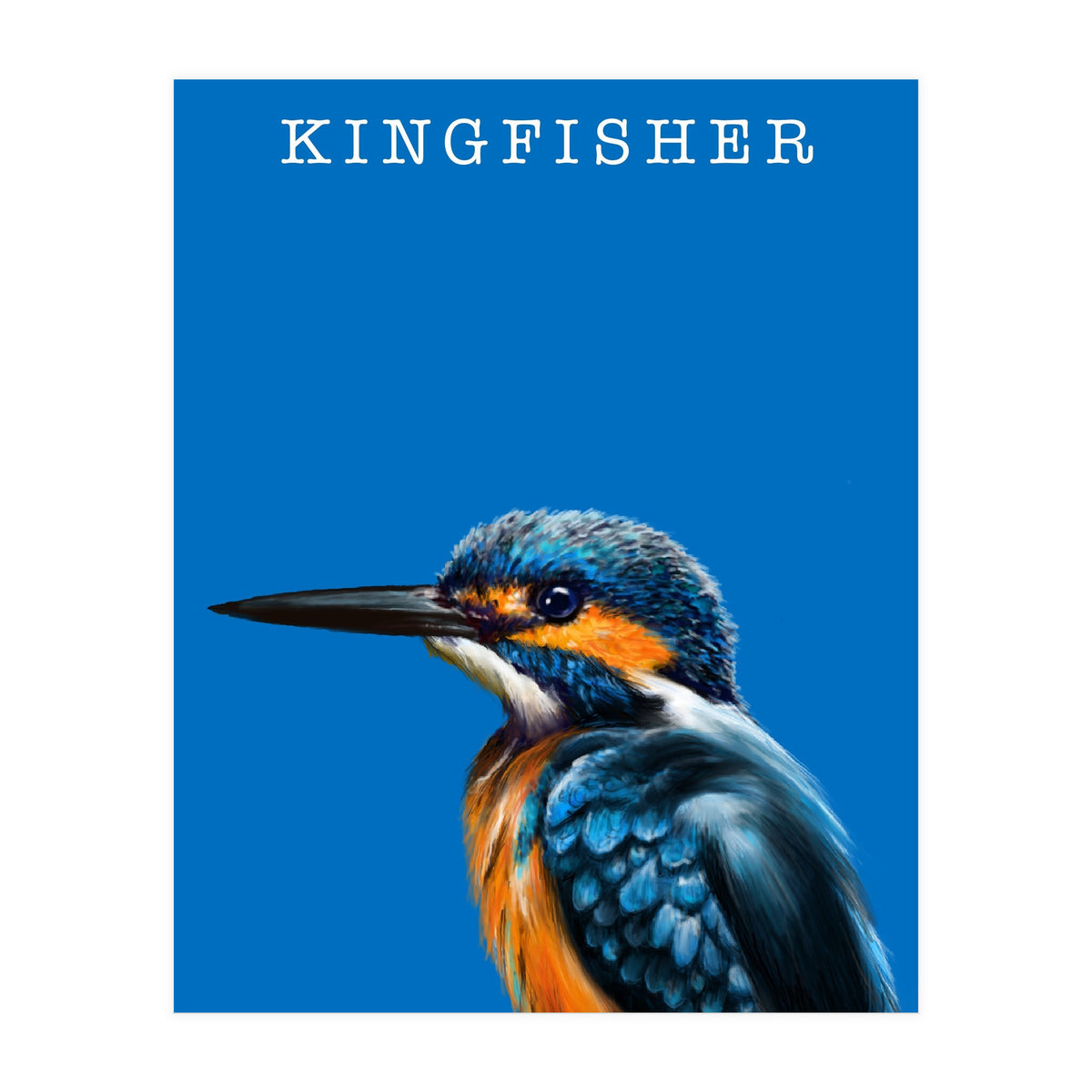 Kingfisher (Print Only)