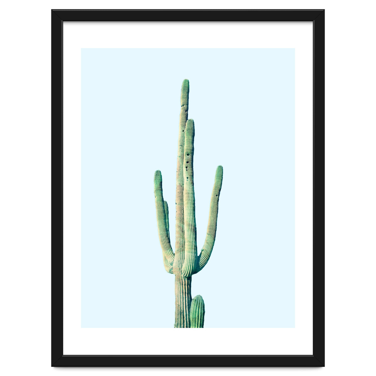 Loner Cactus