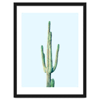 Loner Cactus