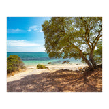Siesta (Print Only) thumbnail