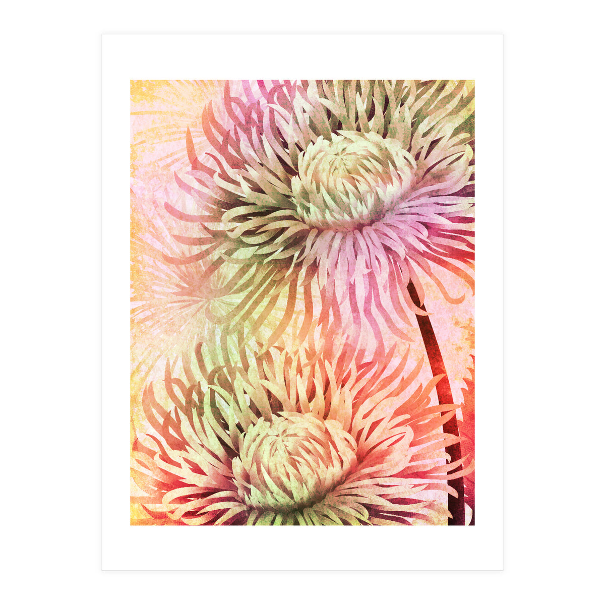 Blooming Flowers (Print Only)