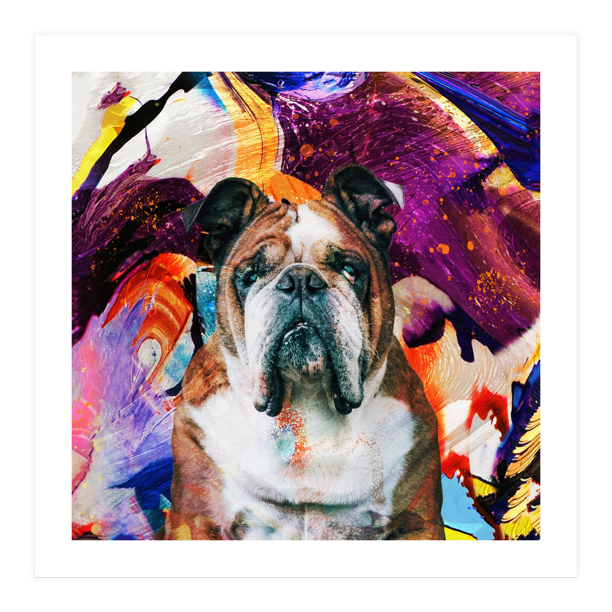 Zycko Color Dog 3 (Print Only)