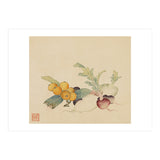 Wang Chengpi~flowers And Vegetables, Vegetables, Fruits, Loquat, White Radish, Carrot, Radish (Print Only) thumbnail