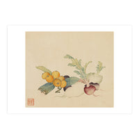 Wang Chengpi~flowers And Vegetables, Vegetables, Fruits, Loquat, White Radish, Carrot, Radish (Print Only)