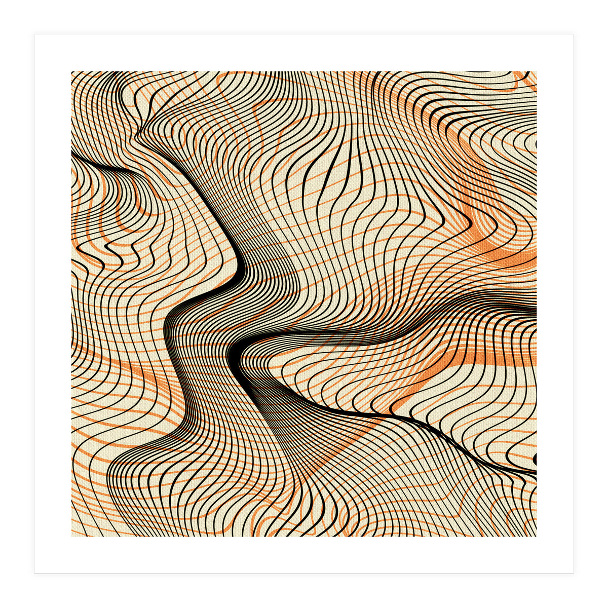 Creme  (Print Only)