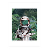 Paradise Found (Print Only) thumbnail