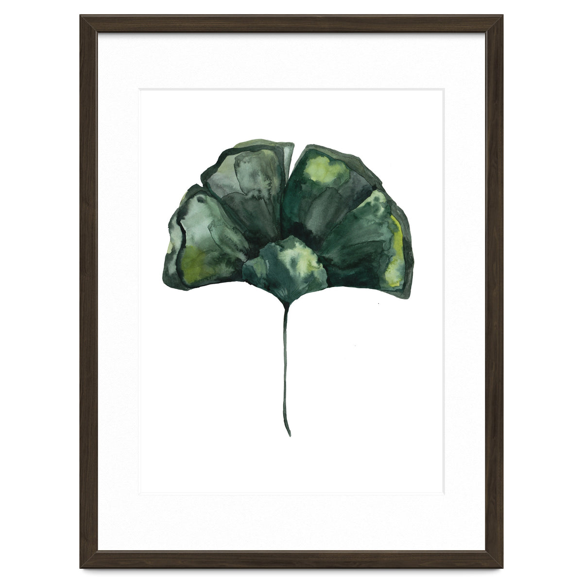Botanical Illustration Ginko
