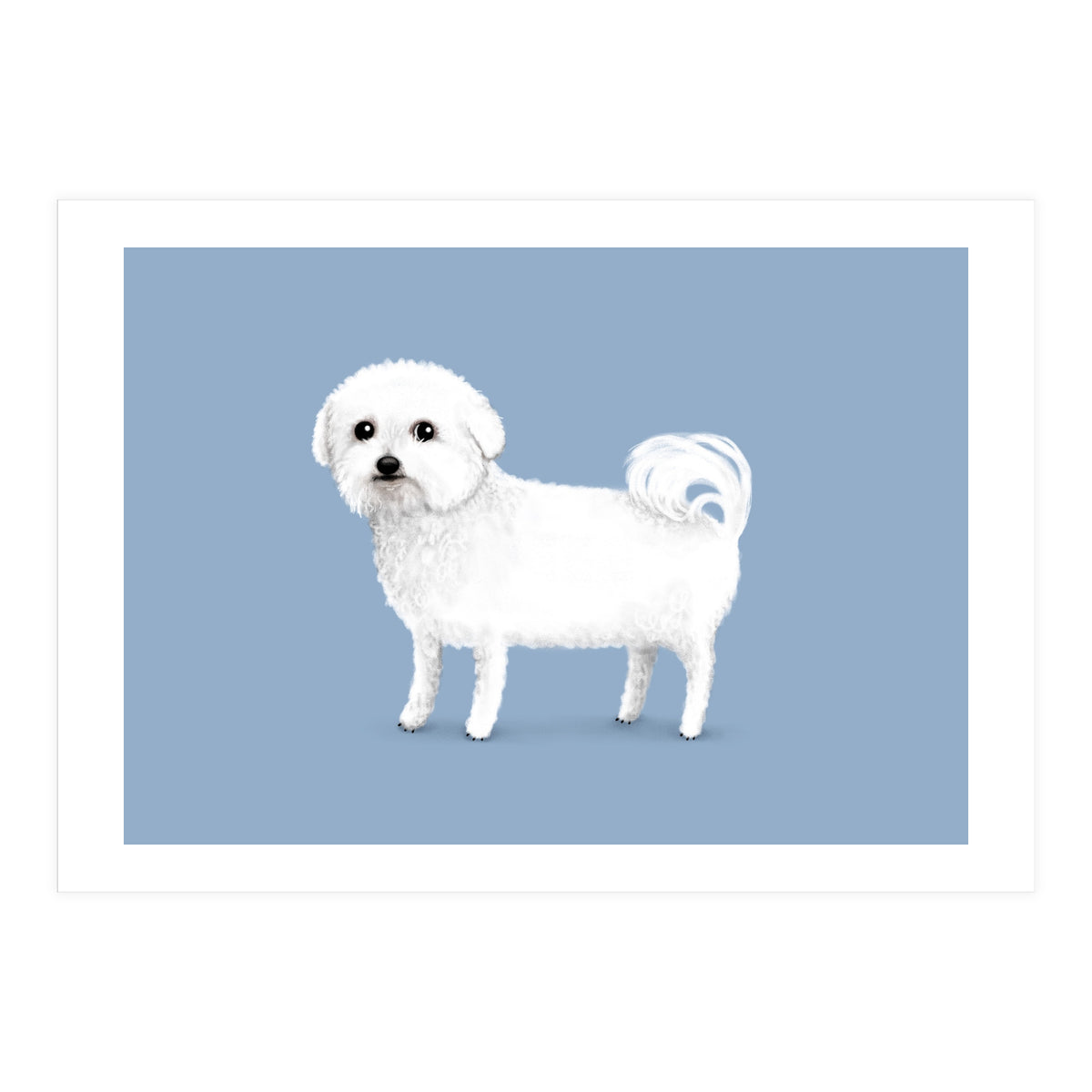 Bichon Frise (Print Only)