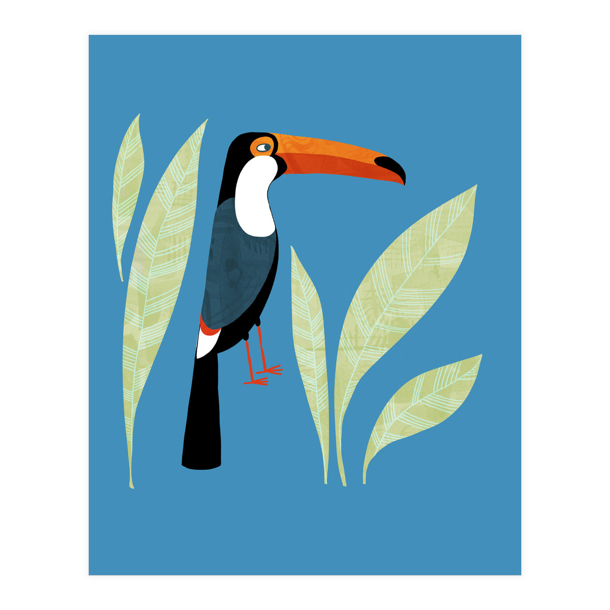 Toucan (Print Only)