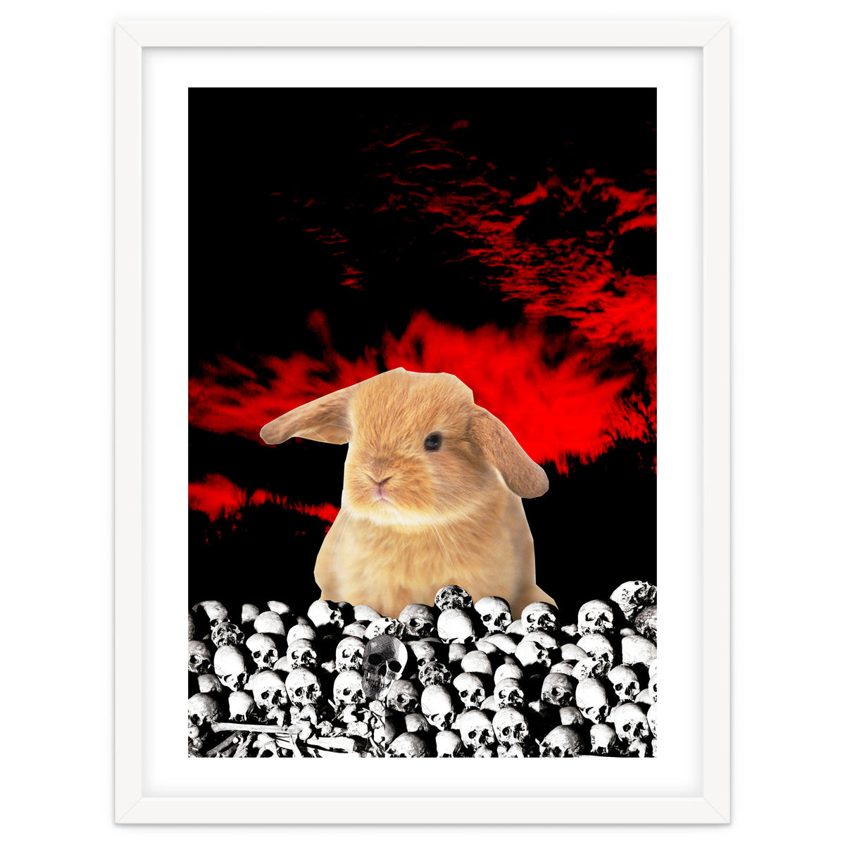 Bunny Of The Apocalypse