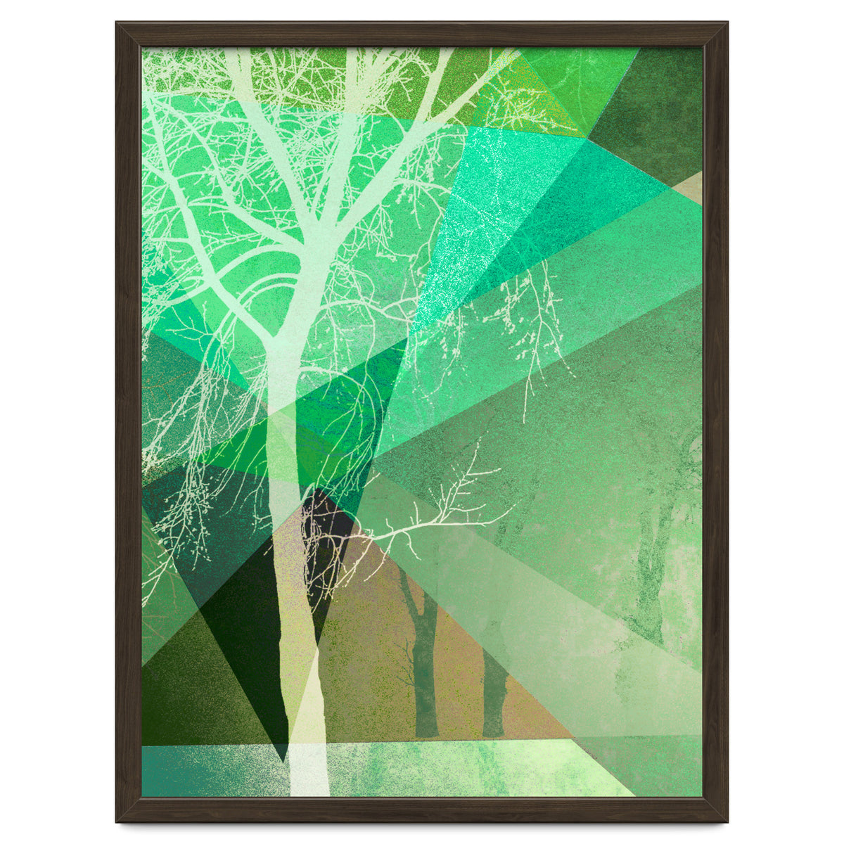 P22 B Trees And Triangles