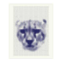 Lioness 2018 (Print Only)