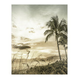 BONITA BEACH Bright Sunset | Vintage (Print Only) thumbnail
