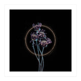 Candy-Coloured Mystery (Print Only) thumbnail