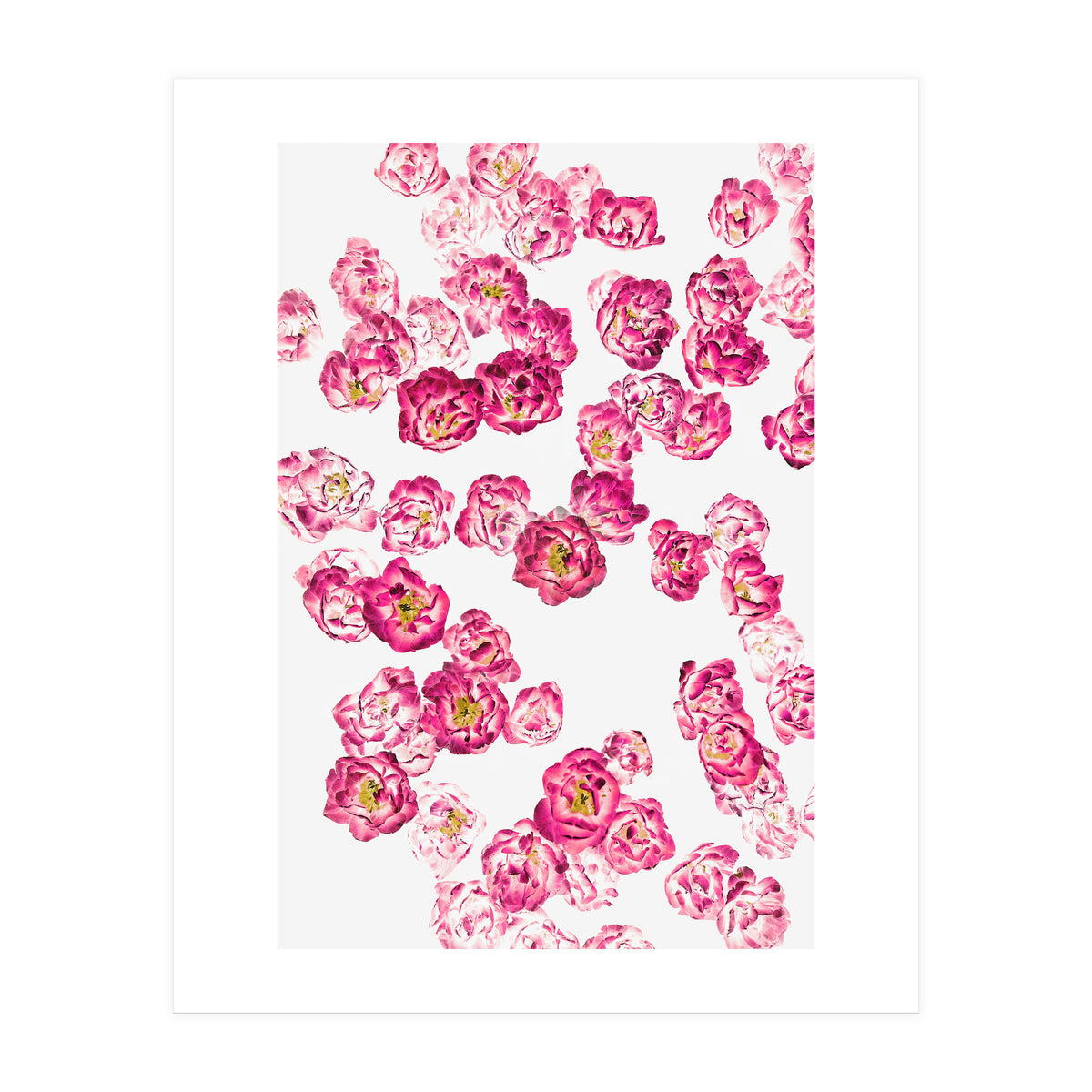 Pink Heaven (Print Only)