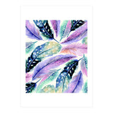 Wild Feathers (Print Only) thumbnail