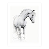 Horse Line Art (Print Only) thumbnail