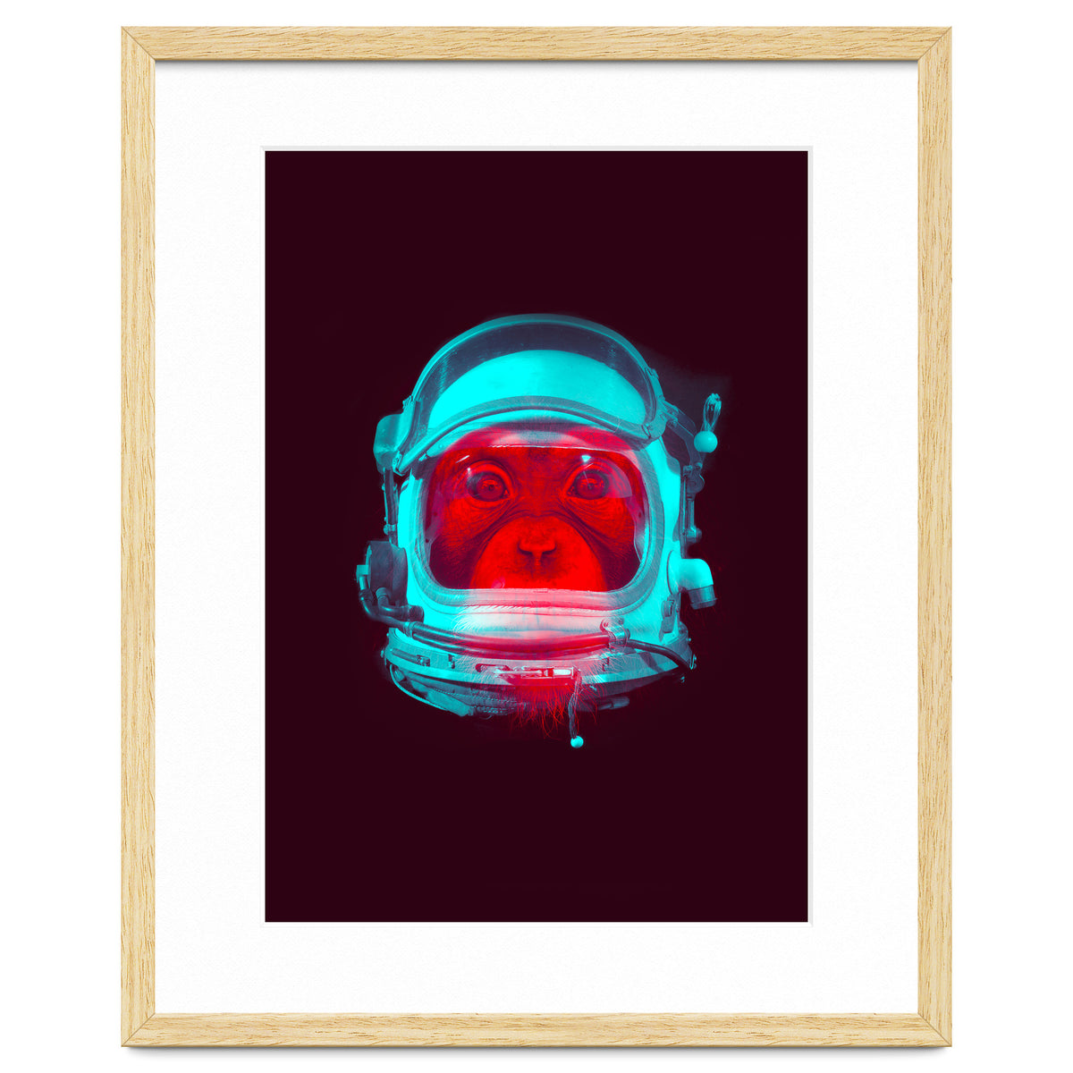 Astronaut