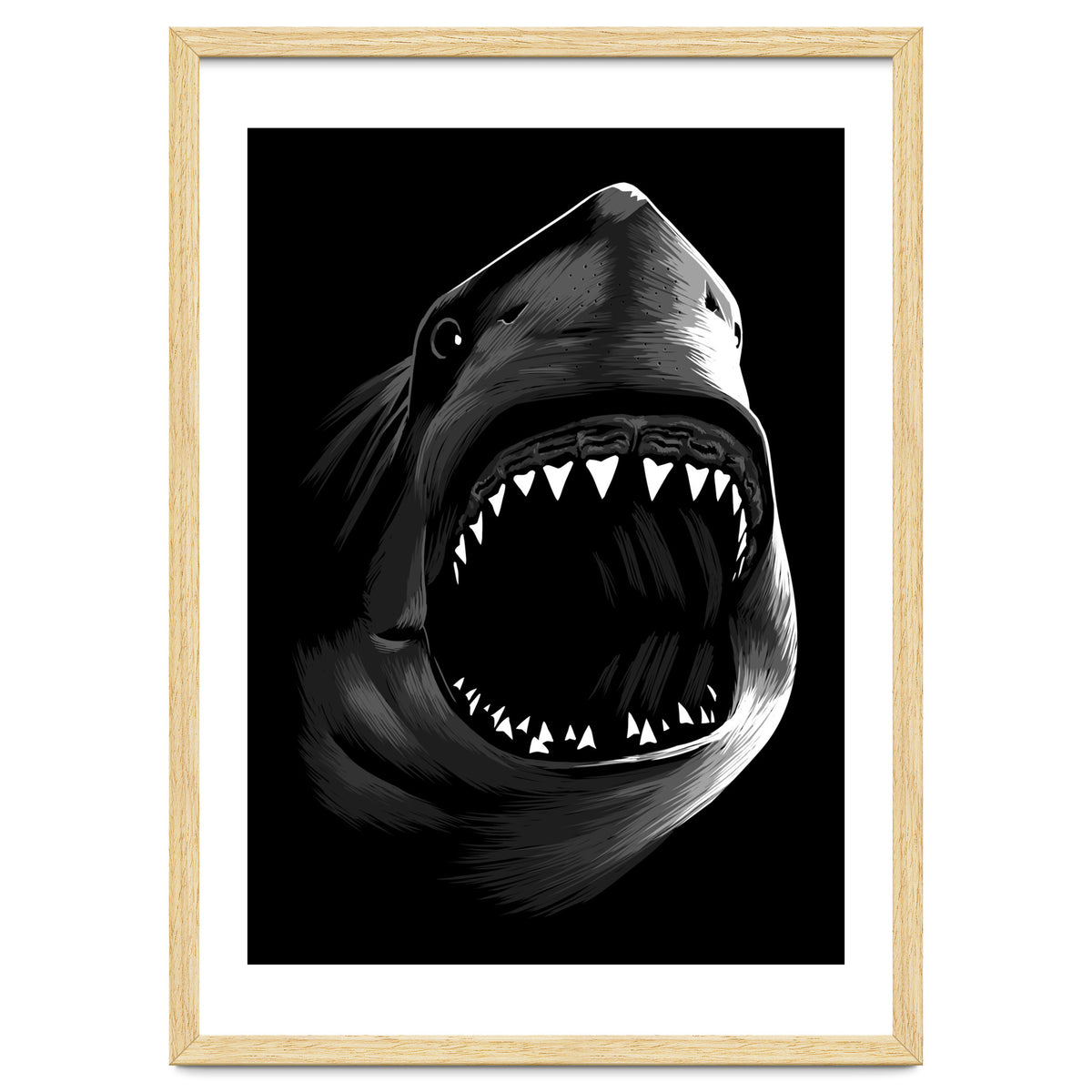 Megalodon