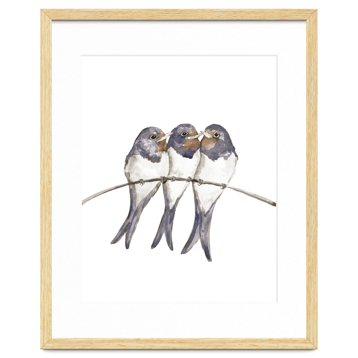 Three young swallows