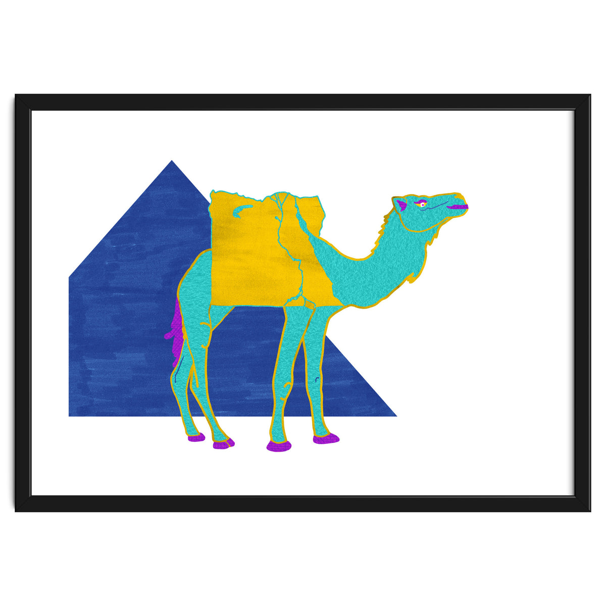 Egyptian Dromedary