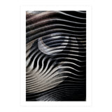 Dark Eyes  (Print Only) thumbnail